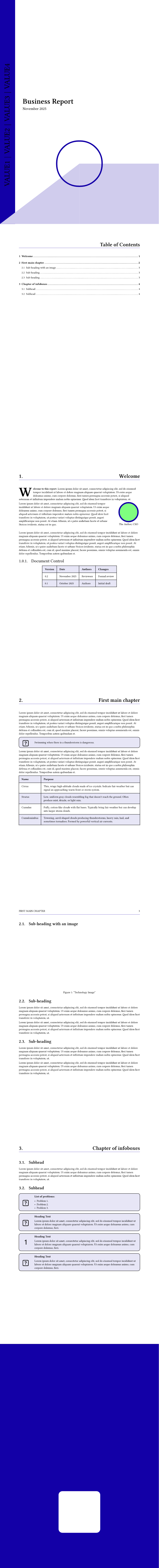 Biz Report template preview