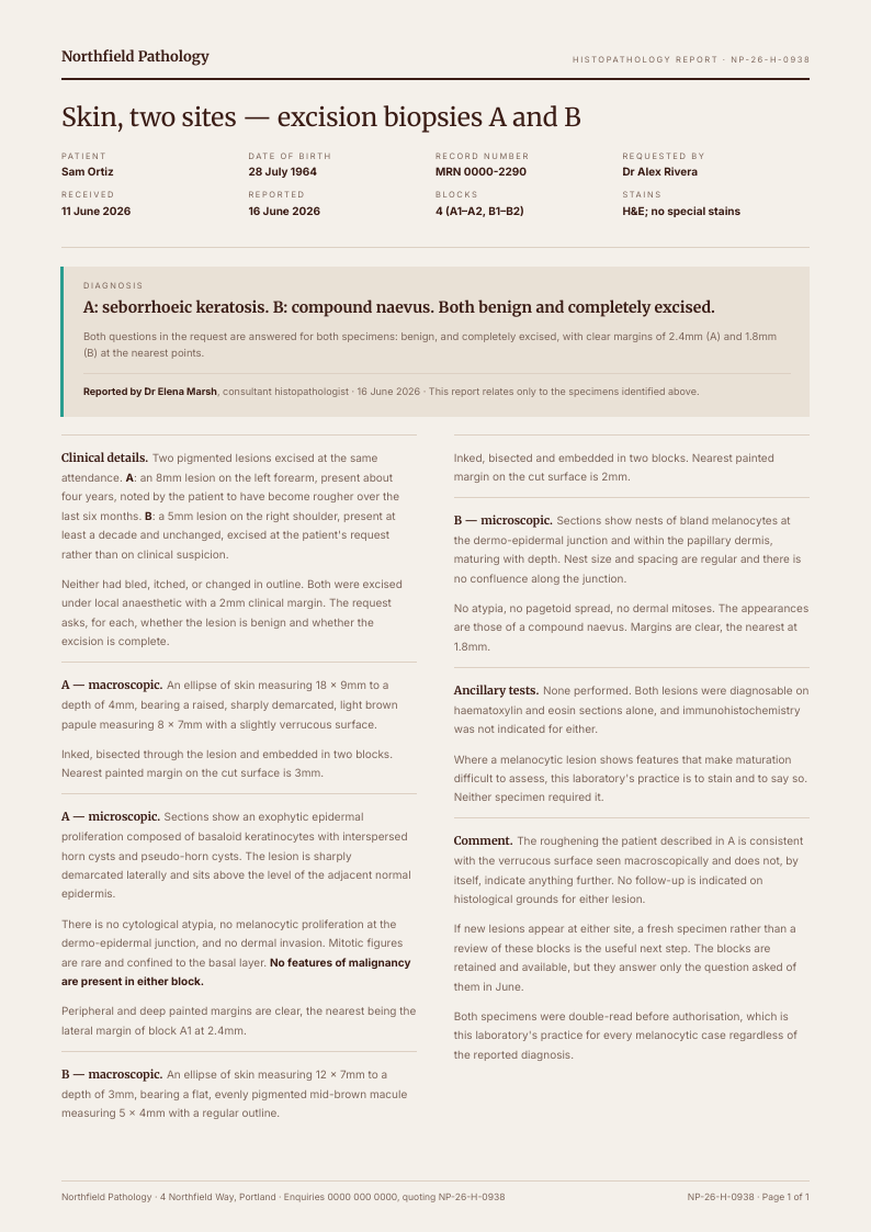 Specimen Report — lab results template, Editorial serif layout, rendered from live data